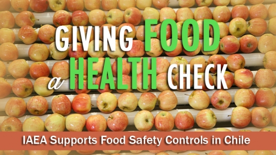 As the world population grows, so does demand for food, leading to an increase in the use of agrochemicals in farming. In most countries these chemicals are an important part of food production. But if they are not used properly, their residues can contaminate food.
<br /><br />
The IAEA works with over 70 countries world-wide to support the use of nuclear and isotopic techniques in their food control systems. One of these countries is Chile.