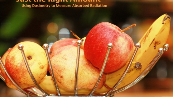 Ionizing radiation is used in agriculture - to prevent sprouting or ripening, to eliminate pathogens that can cause sickness in humans, and to kill insects that can disrupt the ecosystems of importing countries. <br /><br />(Photo: T. Kalapurackal)