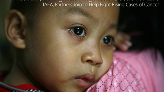 &copy; IAEA