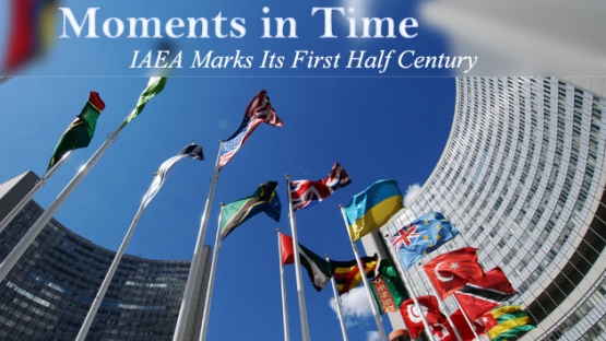&copy; IAEA