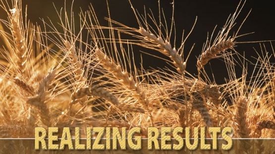 The FAO/IAEA “Atoms for Food” partnership contributes to the world’s food and agriculture development in key ways.