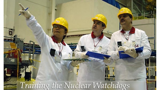 &copy; IAEA