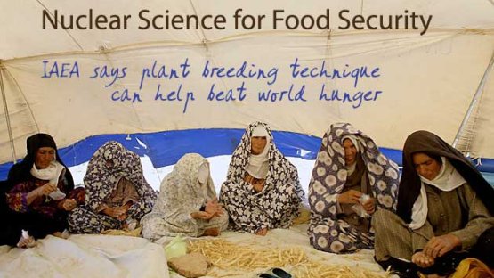 Plant Breeding Success Stories