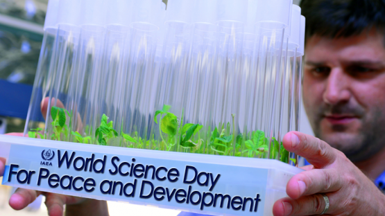 <br /><br />
Today is World Science Day for Peace and Development. Established by UNESCO in 2001, this day is set out to demonstrate why and how science is relevant to our daily lives. This year’s theme on ‘Science for a Sustainable Future’ highlights the essential role of science and scientific research in meeting the United Nations' Sustainable Development Goals.
<br /><br />
Here’s a look at a few different areas where nuclear science and technology and the IAEA can contribute to sustainable solutions for development problems many people face every day across the globe.