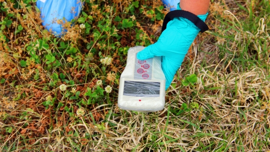 Radiation measurement during a RANET Workshop in the evacuated zone around TEPCO’s Fukushima Daiichi Nuclear Power Station. (Photo: S. L??f)