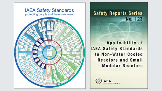 Image of safety report
