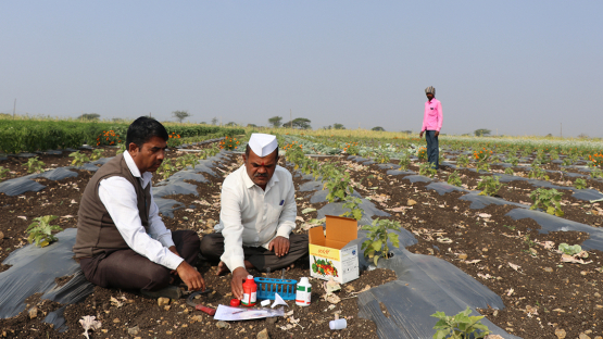 RAS 5084 - Assessing and Improving Soil and Water Quality to Minimize Land Degradation and Enhance Crop Productivity Using Nuclear Techniques (RCA)