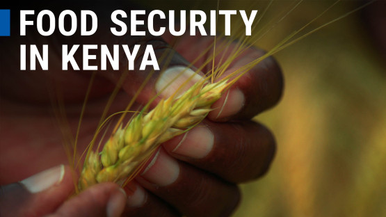 AT Anmelden Wiedergabe (k) 0:00 / 9:56 Food Security in Kenya: Growing More with Nuclear Techniques 