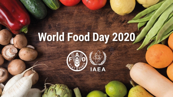World Food Day 2020