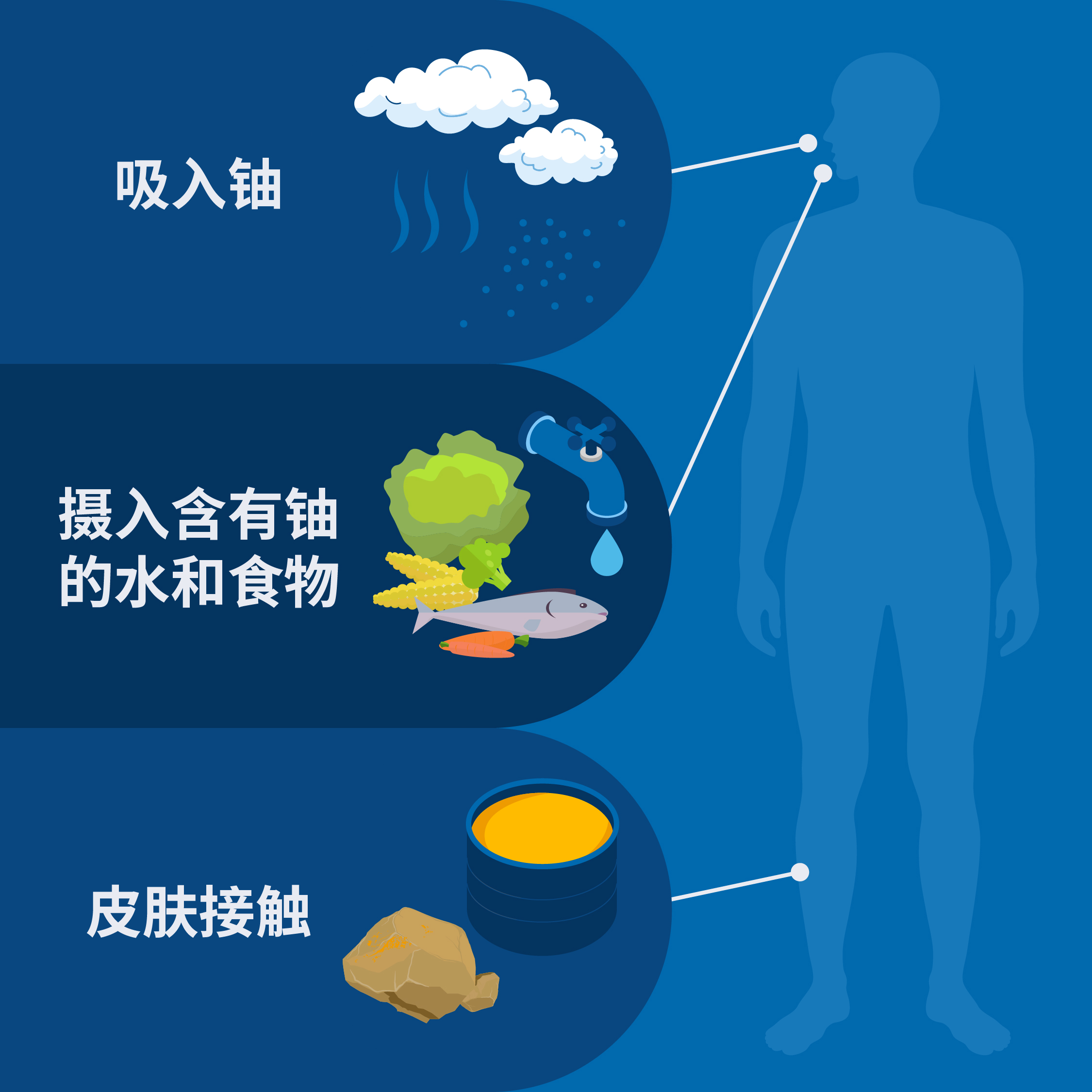 輻射是我們日常生活的一部分,因此我們無時無刻不在接觸輻射。每人每天都會攝入和吸入少量的天然鈾。(圖片來源:A. Vargas/原子能機構)