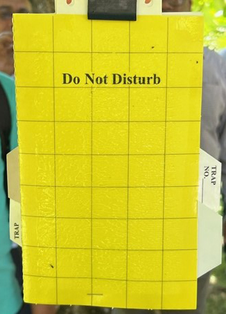 yellow-panel-trap.jpg
